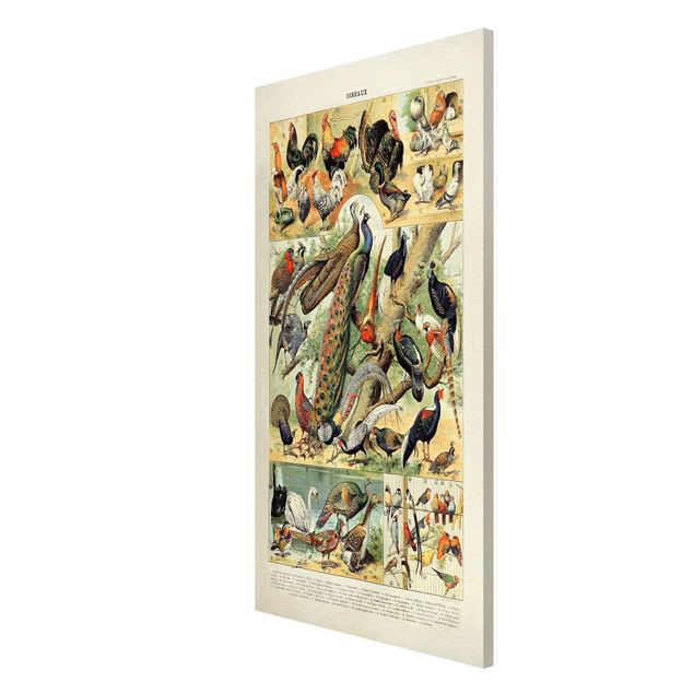 Magnetic memo board - Vintage Board European Birds