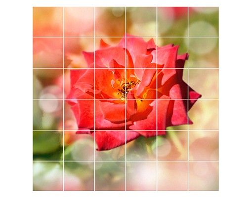 Tile sticker - No.YK19 Shining Rose