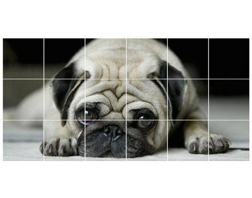 Tile sticker - Pug Loves You