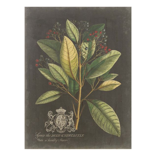 Print on wood - Vintage Royales Foliage On Black IV