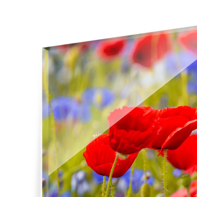 Glass Splashback - Summer Meadow With Poppies And Cornflowers - Square 1:1