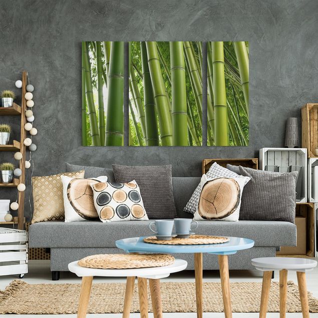 Print on canvas 3 parts - Bamboo Trees