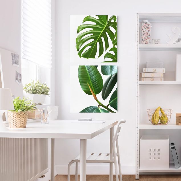 Print on canvas - Monstera And Rubber Tree