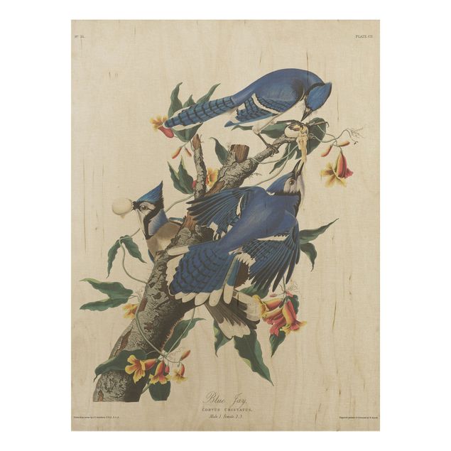 Print on wood - Vintage Board Blue Jays