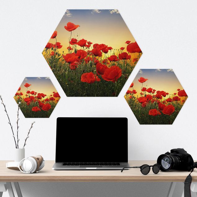 Alu-Dibond hexagon - Poppy Field In Sunset