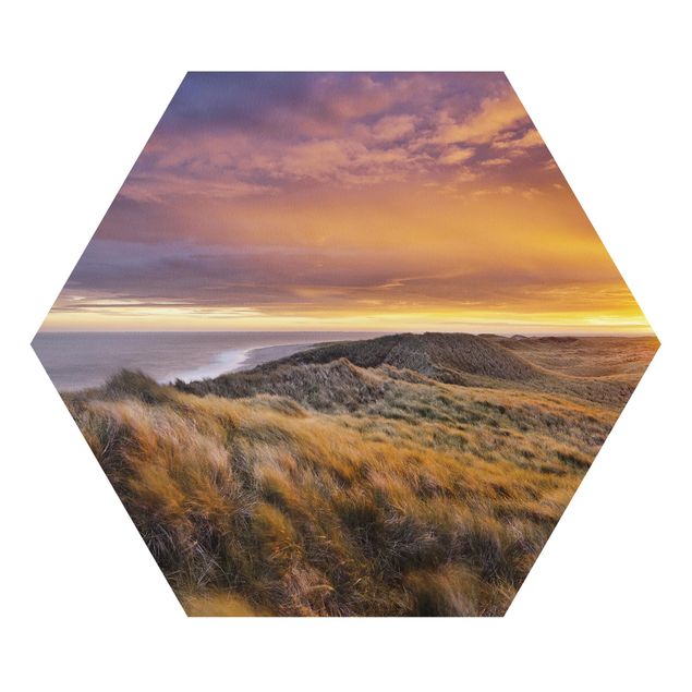 Forex hexagon - Sunrise On The Beach On Sylt