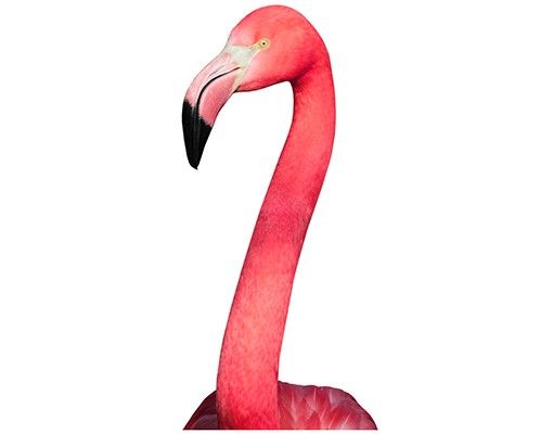 Window sticker - Prying Flamingo
