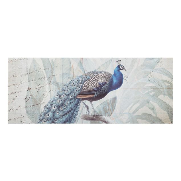 Glass splashbacks Shabby Chic Collage - Peacock