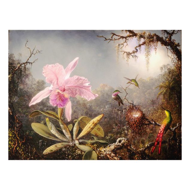 Glass splashbacks Martin Johnson Heade - Orchid And Three Hummingbirds