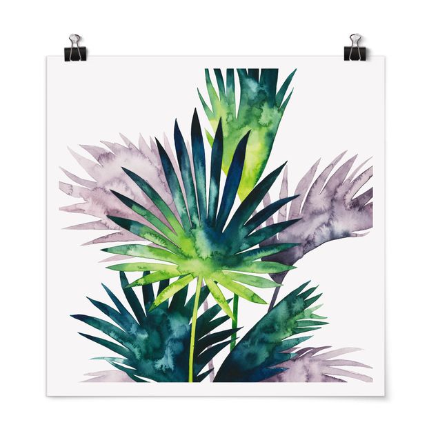 Poster - Exotic Foliage - Fan Palm