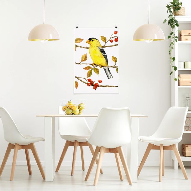 Poster animals - Birds And Berries - American Goldfinch