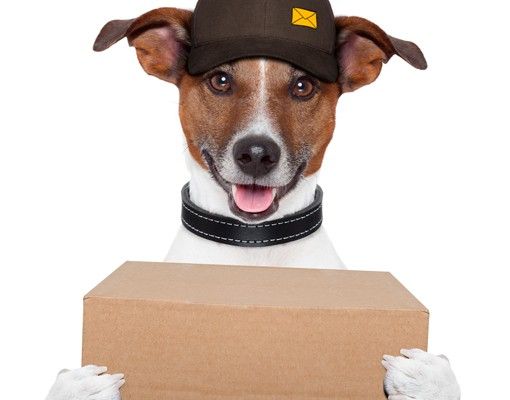 Letterbox - Dog With Package
