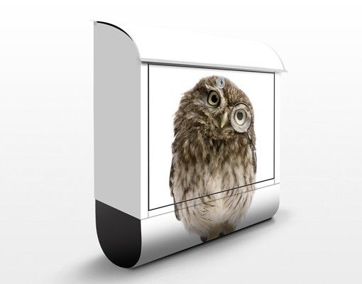 Letterbox - Curious Owl