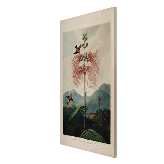 Magnetic memo board - Botany Vintage Illustration Flower And Hummingbird