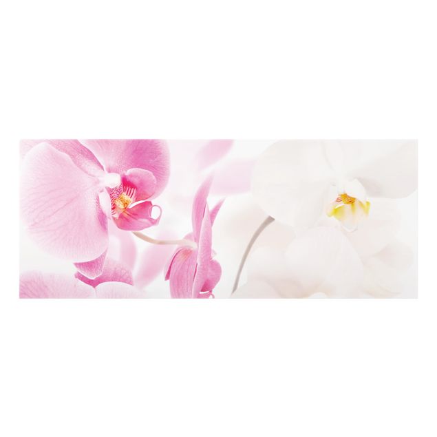 Splashback - Delicate Orchids