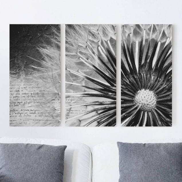 Print on canvas 3 parts - Dandelion Black & White