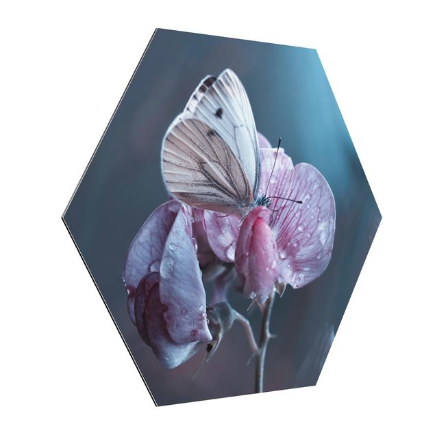 Alu-Dibond hexagon - Butterfly In The Rain