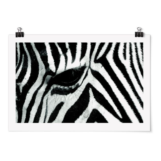 Poster - Zebra Crossing