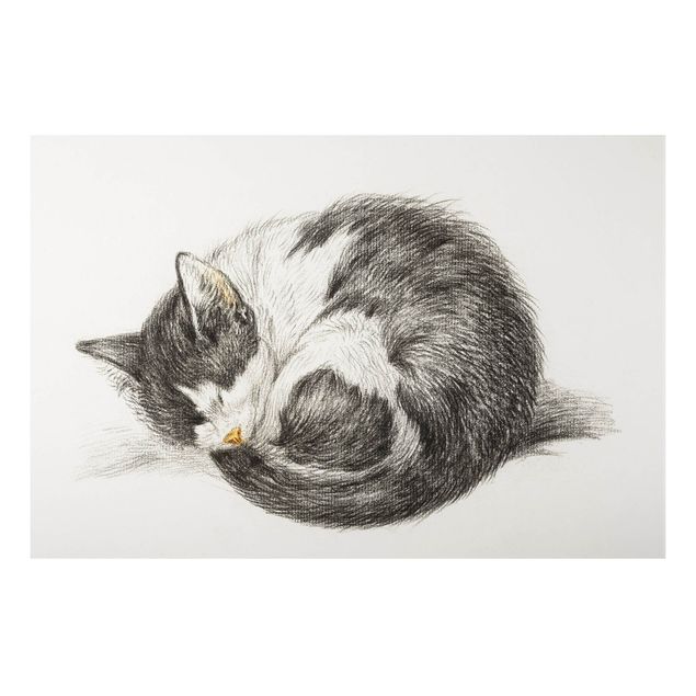 Print on aluminium - Vintage Drawing Cat II