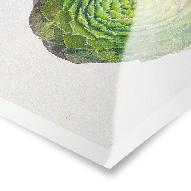 Poster - WaterColours - Mandala Succulent