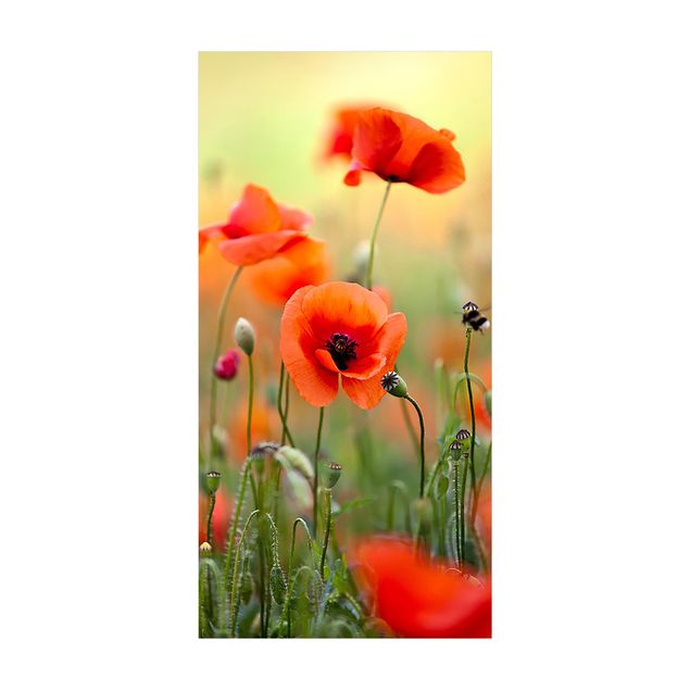 Floral rugs Red Summer Poppy