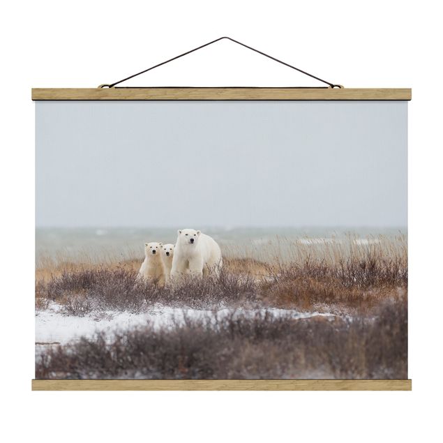 Fabric print with poster hangers - Polar Bear And Her Cubs