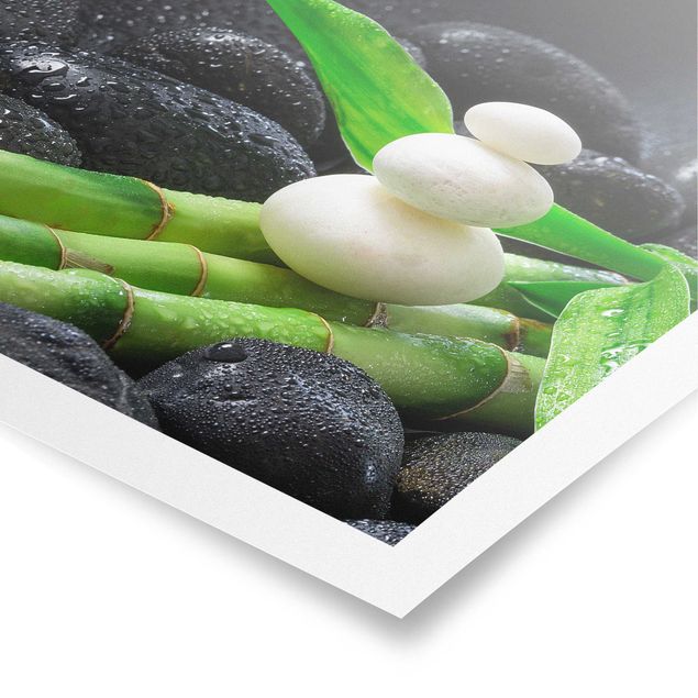 Poster - White Stones On Bamboo