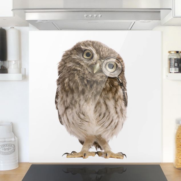 Glass splashback kitchen animals Curious Owl