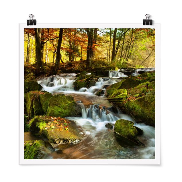 Poster - Waterfall Autumnal Forest
