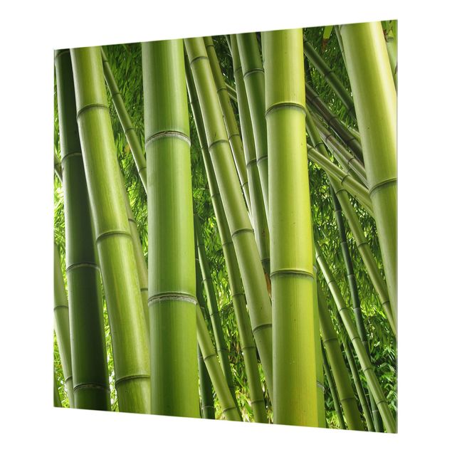 Glass Splashback - Bamboo Trees - Square 1:1