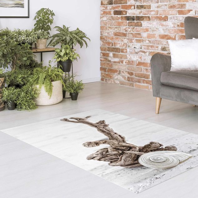 Outdoor rugs White Snail Shell And Root Wood