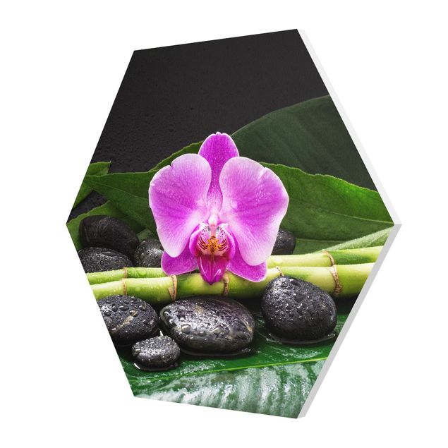 Hexagon Picture Forex - Green Bamboo With Orchid Blossom