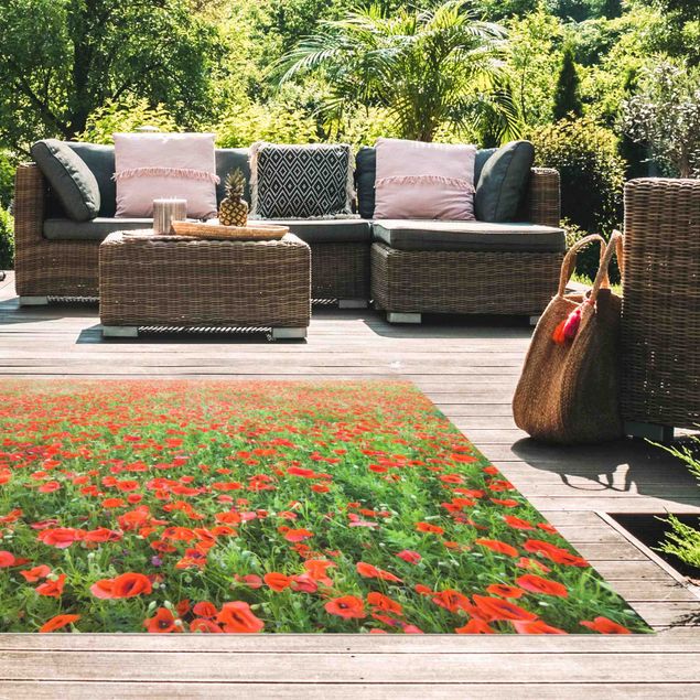contemporary rugs Poppy Field