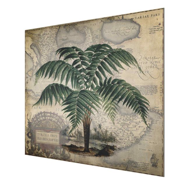 Print on aluminium - Vintage Collage - Palm And World Map