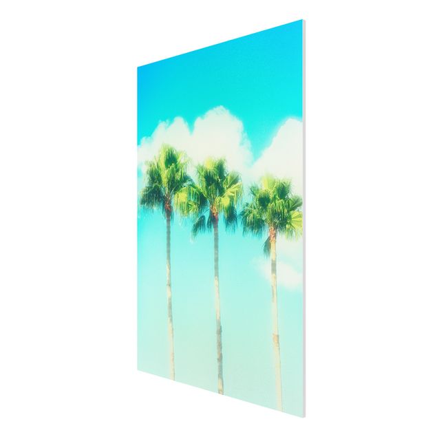 Print on forex - Palm Trees Against Blue Sky