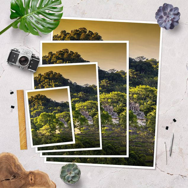 Poster forest - Mayan Ruins
