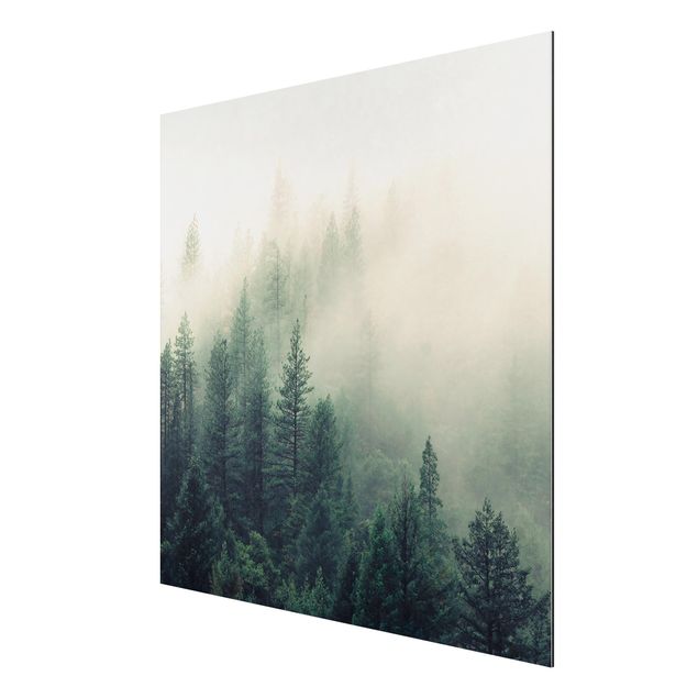 Print on aluminium - Foggy Forest Awakening