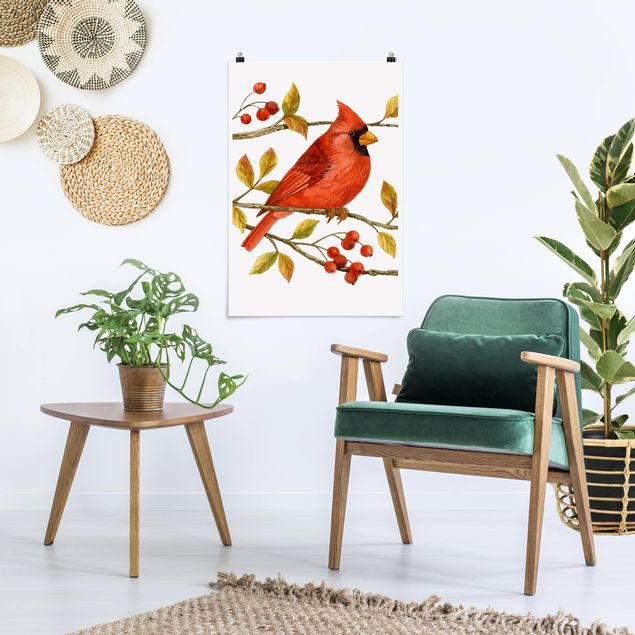 Poster animals - Birds And Berries - Northern Cardinal