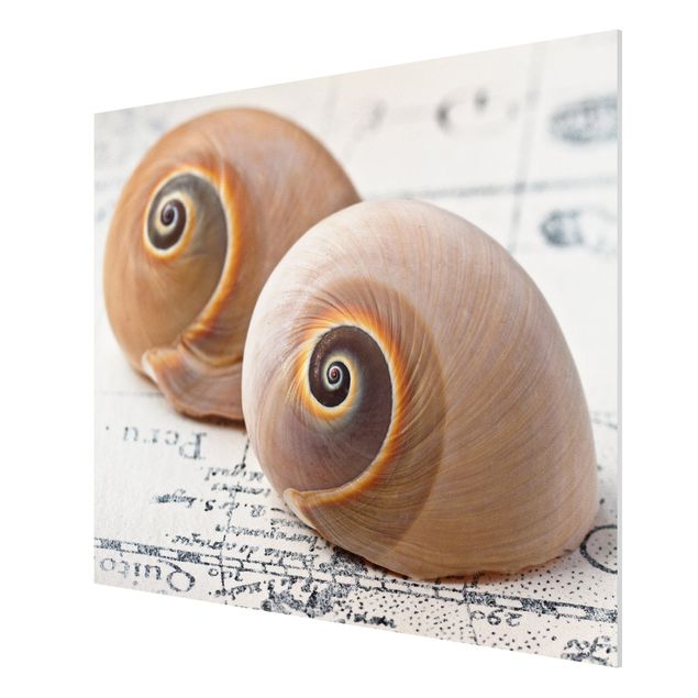 Print on forex - Shell Duo