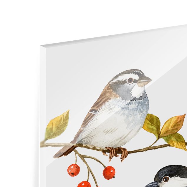 Glass Splashback - Birds And Berries - Tits - Square 1:1