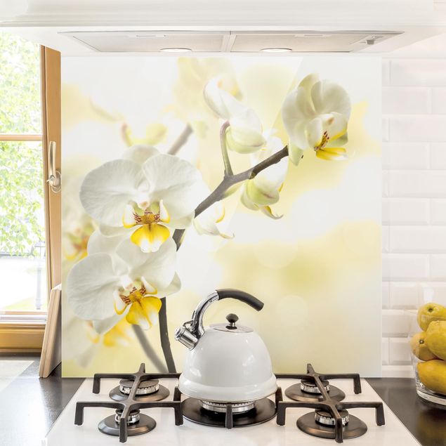 Glass splashback kitchen flower orchid branch