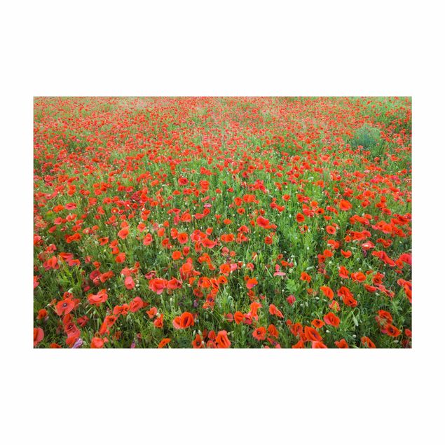 red area rugs Poppy Field