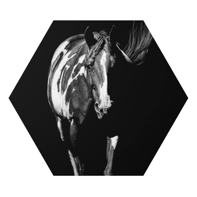 Alu-Dibond hexagon - Horse In The Dark