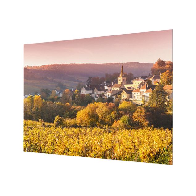 Glass Splashback - Vineyards In France - Landscape format 4:3