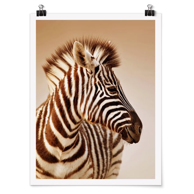 Poster animals - Zebra Baby Portrait