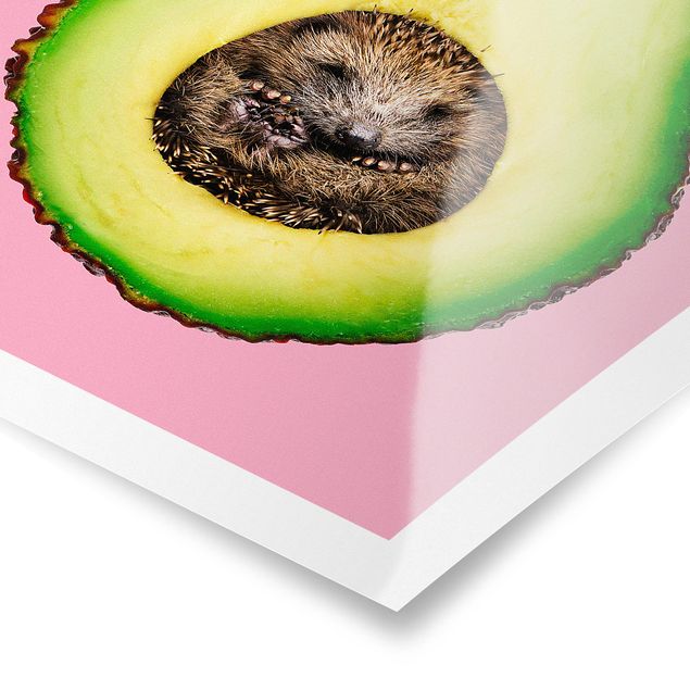 Poster animals - Avocado With Hedgehog