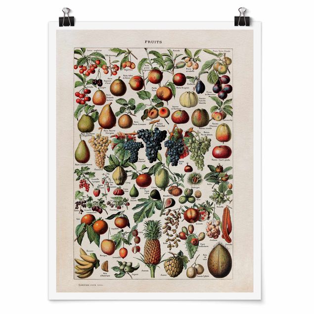 Poster - Vintage Board Fruits
