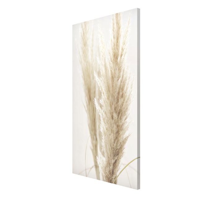 Magnetic memo board - Soft Pampas Grass