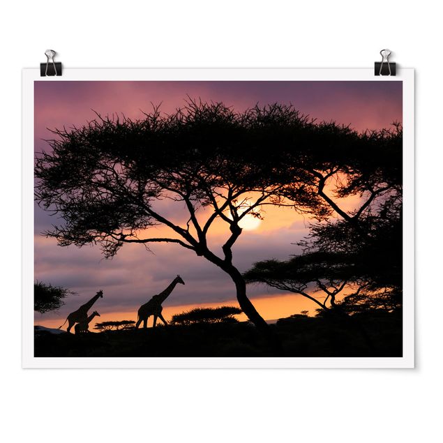 Poster - African Safari