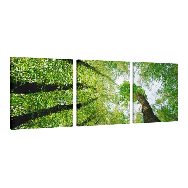 Print on canvas 3 parts - Trees Of Life